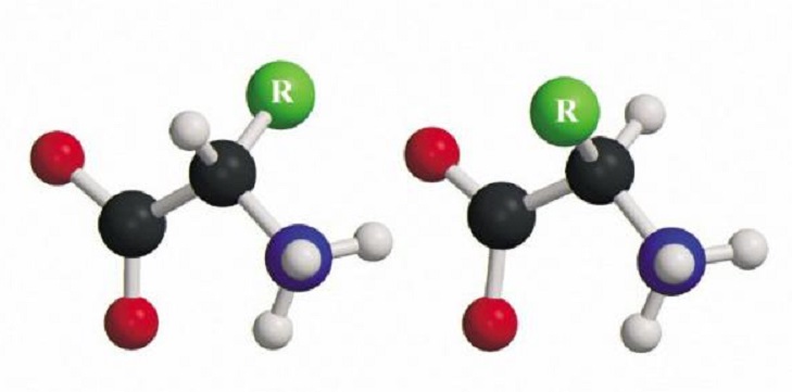 L- и D-типы алифатических аминокислот