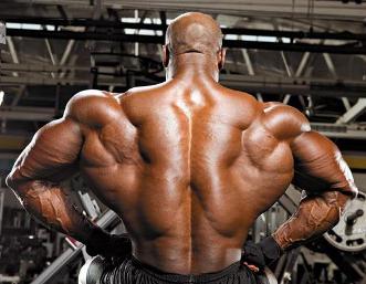 функции широчайшей мышцы спины
