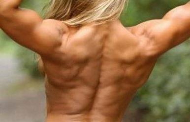 низ широчайших мышц спины