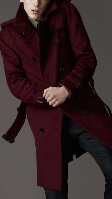 стильное пальто мужское зимнее
