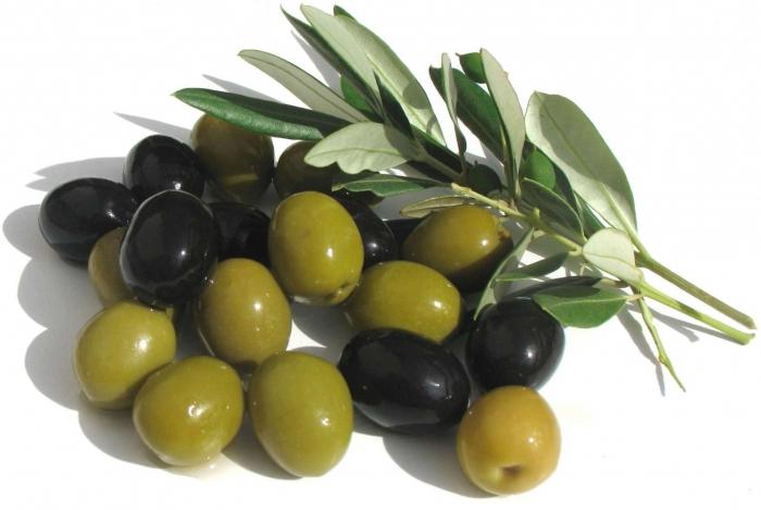 чем отличаются маслины от оливок 