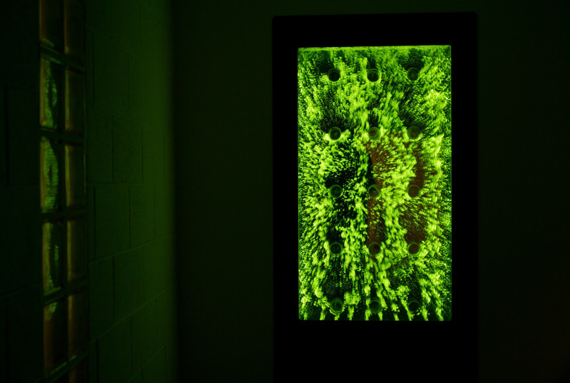 пузырьковая панель с зеленой подсветкой