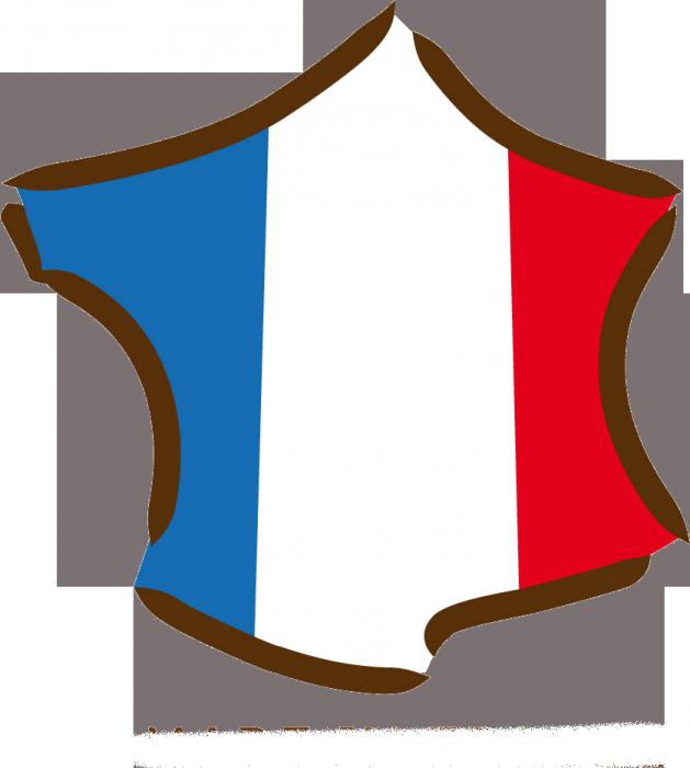 план описания страны франция