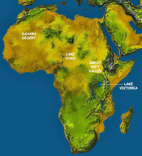  физико географическое положение африки