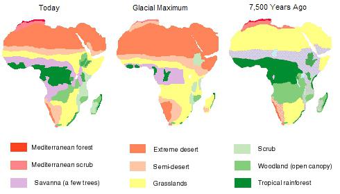 климатические пояса африки