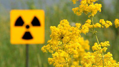 хранение радиоактивных отходов