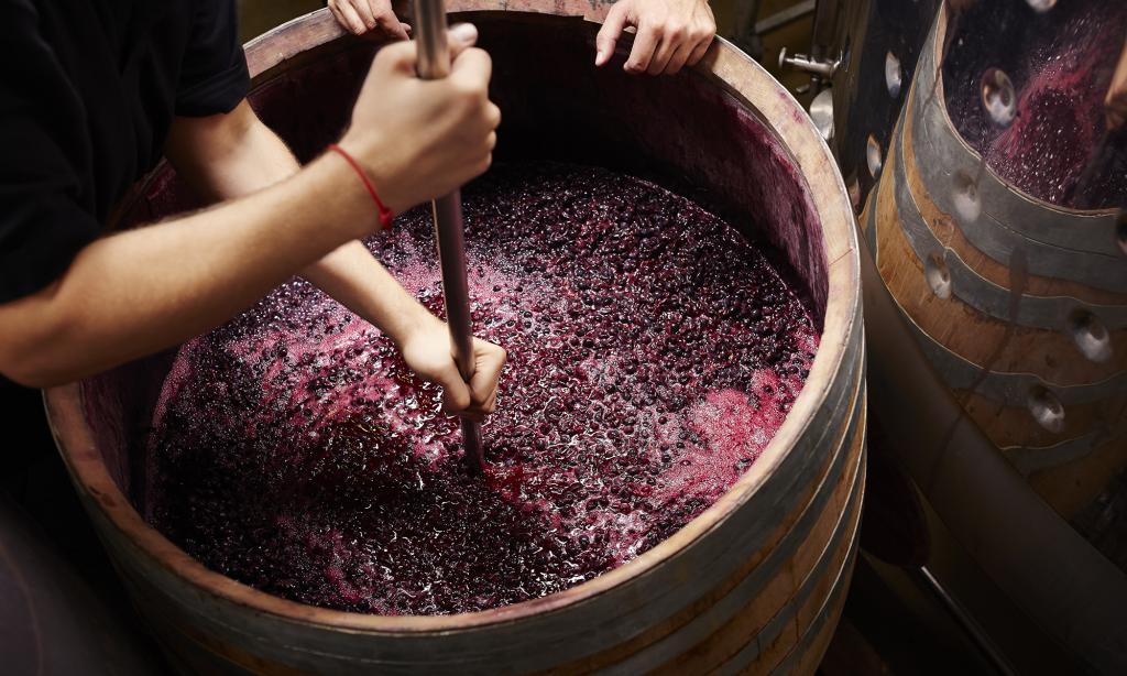 Процесс производства вина