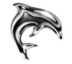 как нарисовать дельфина
