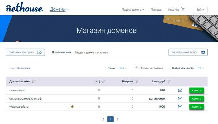 domains.nethouse.ru отзывы