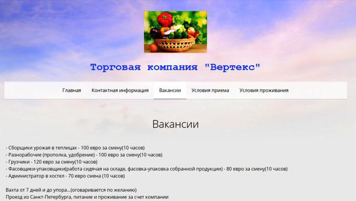 Verteks-fin.nethouse.ru отзывы