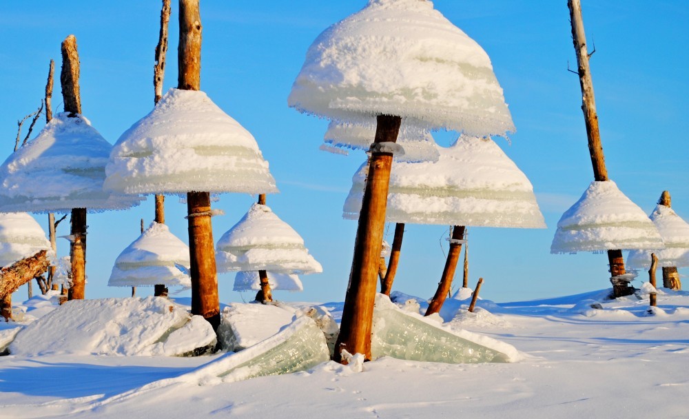 Ледяные "грибы"