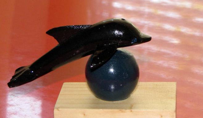 пожизненно черный дельфин