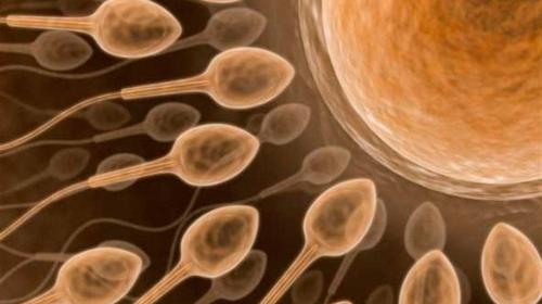спермограмма как сдать анализ