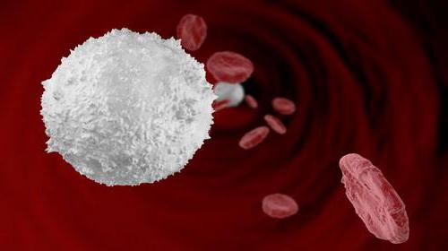 как обозначаются лейкоциты в общем анализе крови