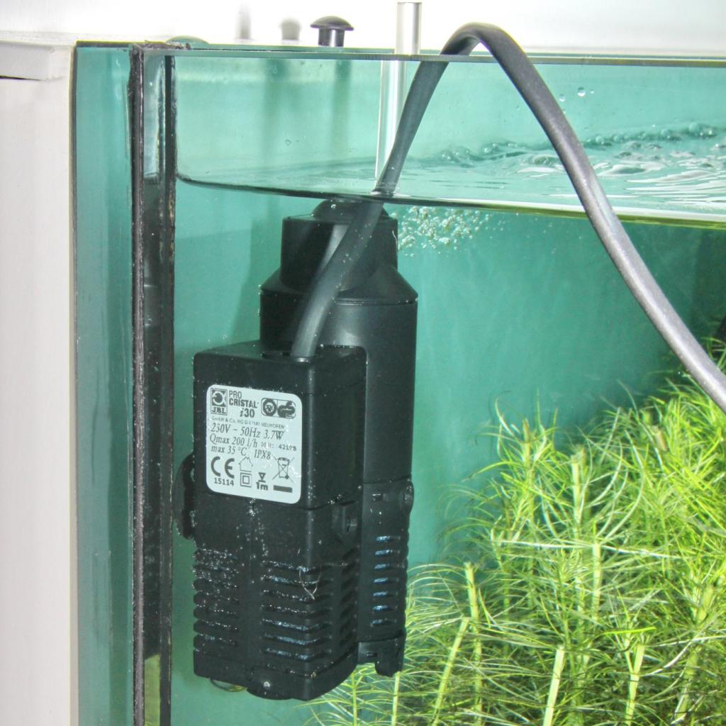 Установка фильтра в аквариум: правила и рекомендации. Как расположить фильтр в аквариуме