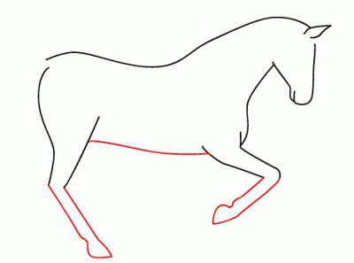 как правильно поэтапно нарисовать лошадь