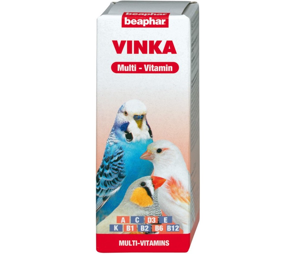 Витамины для попугаев: обзор, дозировка, противопоказания