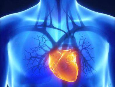 Препараты при мерцательной аритмии сердца