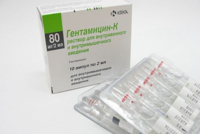 антибиотик гентамицин