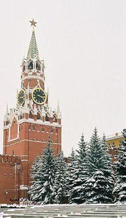 кремлевская стена фото