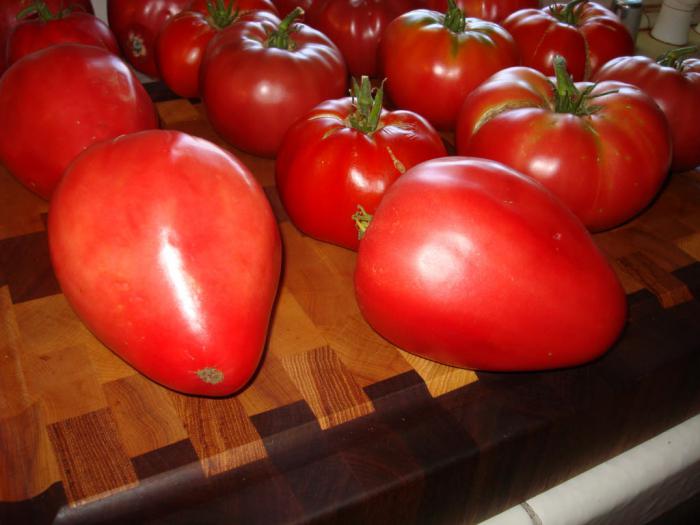 Отзывы томаты Мазарини