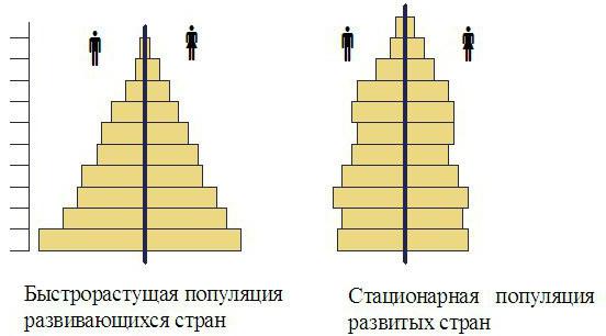 половозрастная пирамида россии 