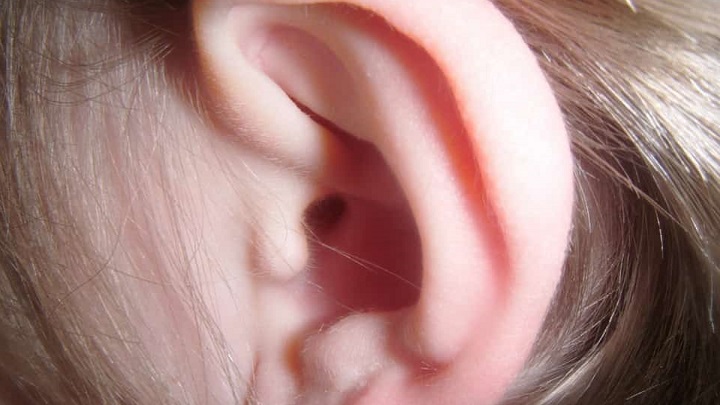Проникновение насекомых в уши