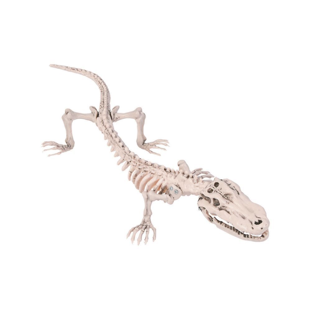 скелет аллигатора