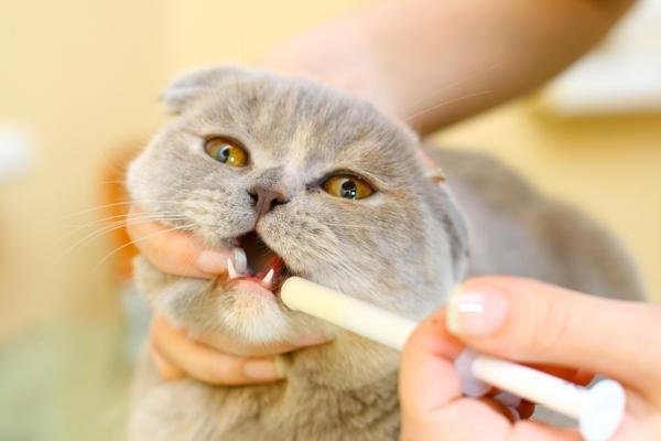  масло для кошки поможет вывести шерсть из желудка