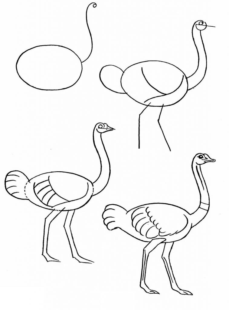Рисуем страуса