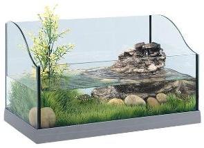 аквариум для черепах