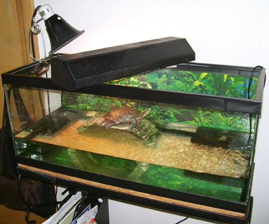 аквариум для черепах купить