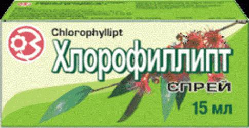 как полоскать хлорофиллиптом
