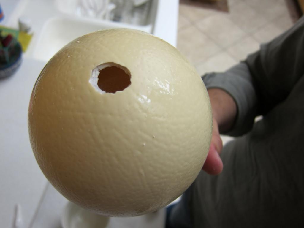 Вскрытие яйца