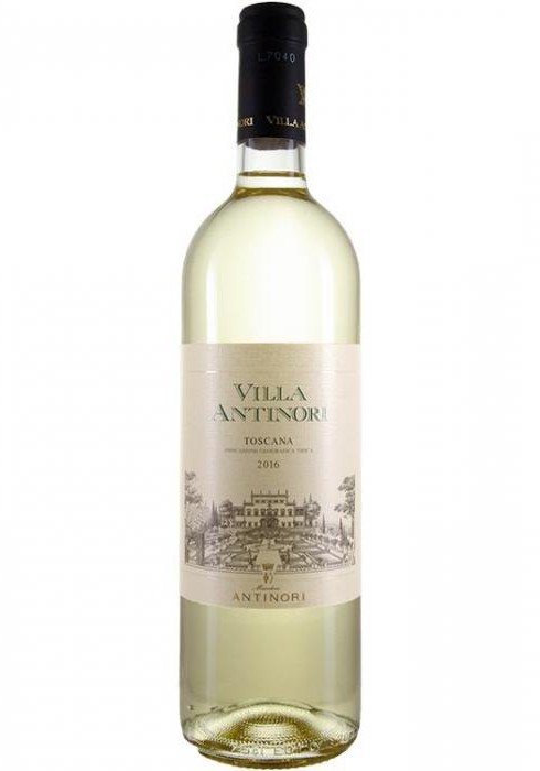 вилла антинори вино белое