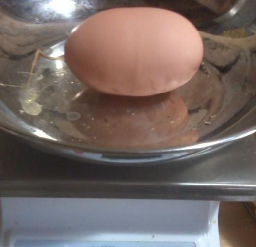 вес 1 куриного яйца