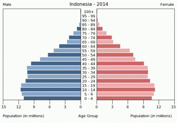численность населения Индонезии