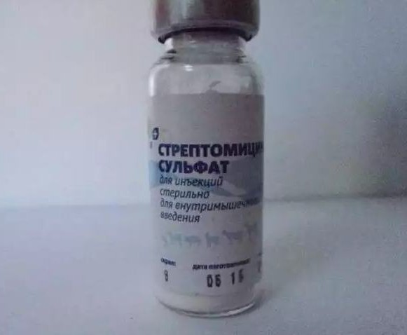 стрептомицина сульфат инструкция по применению для животных 