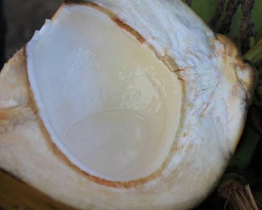 кокосовая вода отзывы 