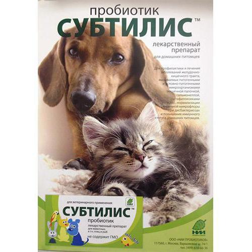 пробиотики для кошек
