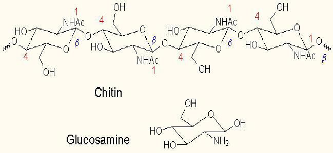 глюкозамин максимум аналоги