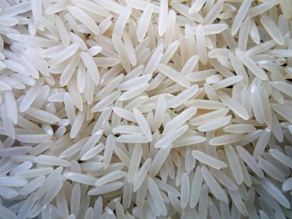 краснодарский рис как выращивают
