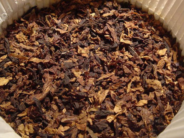 ферментация табака