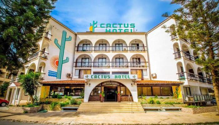 cactus hotel 2 