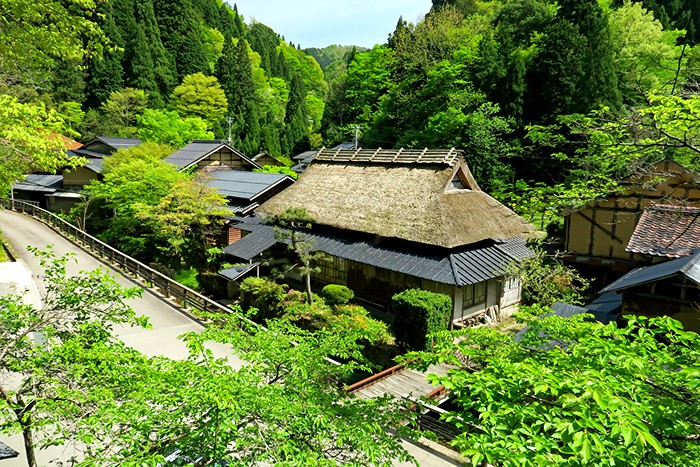 Японская современная деревня