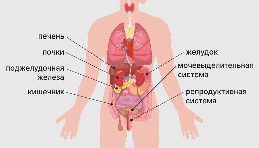 неприятные ощущения внизу живота