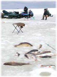 рыбалка в пермском крае зимой