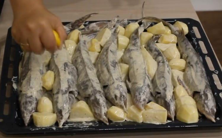 рецепт запеченной рыбы в духовке