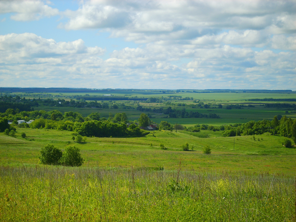 русская равнина