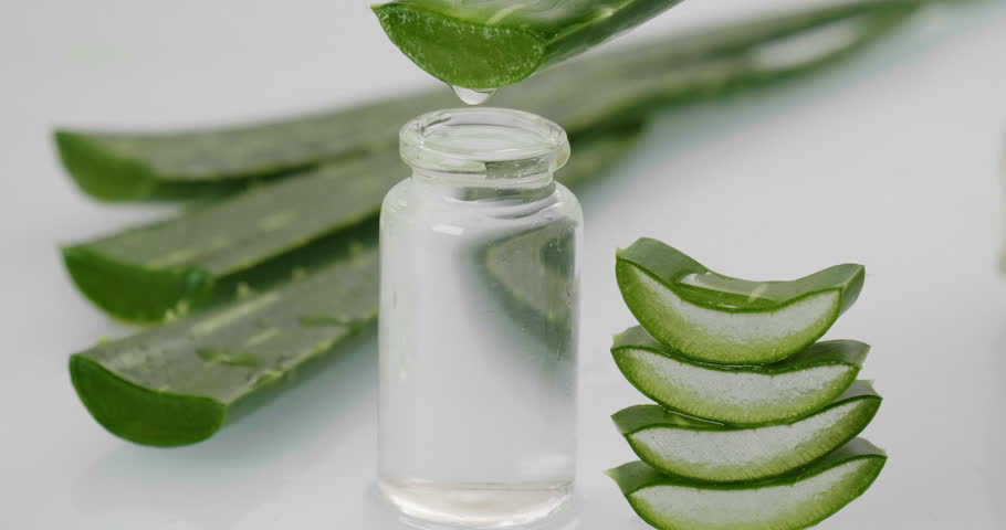 Крем с алоэ вера (Aloe vera): состав и полезные свойства